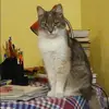 Отзыв от Валерия Дубова
